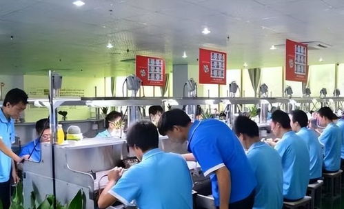青海学霸周浩 从北大退学到技校，他的选择照亮另一种教育可能